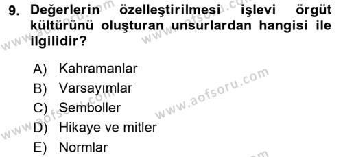 Sporda Liderlik Dersi 2024 - 2025 Yılı (Vize) Ara Sınavı 9. Soru