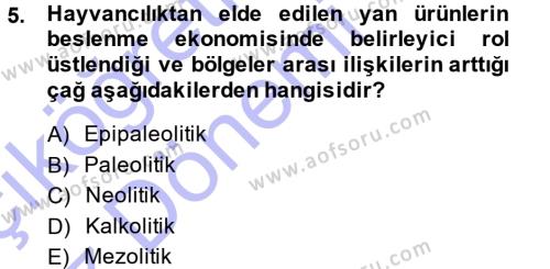 Eski Anadolu Tarihi Dersi 2013 - 2014 Yılı (Vize) Ara Sınavı 5. Soru