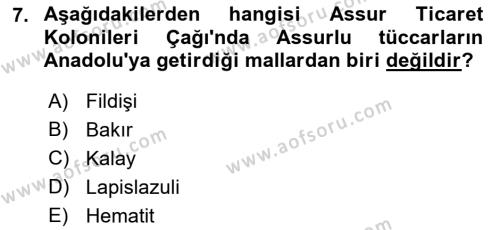 Eski Anadolu Tarihi Dersi 2022 - 2023 Yılı (Vize) Ara Sınavı 7. Soru