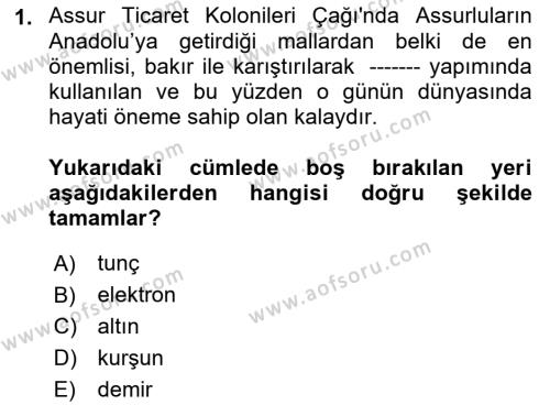 Eski Anadolu Tarihi Dersi 2023 - 2024 Yılı (Vize) Ara Sınavı 1. Soru