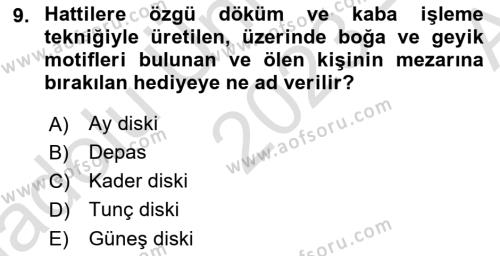 Eski Anadolu Tarihi Dersi 2023 - 2024 Yılı (Vize) Ara Sınavı 9. Soru