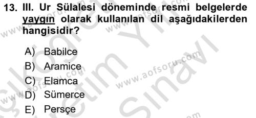 Eski Mezopotamya ve Mısır Tarihi Dersi 2021 - 2022 Yılı (Vize) Ara Sınavı 13. Soru