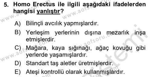 Eski Mezopotamya ve Mısır Tarihi Dersi 2021 - 2022 Yılı (Vize) Ara Sınavı 5. Soru