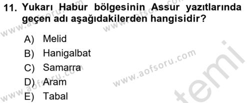 Eski Mezopotamya ve Mısır Tarihi Dersi 2021 - 2022 Yılı Yaz Okulu Sınavı 11. Soru