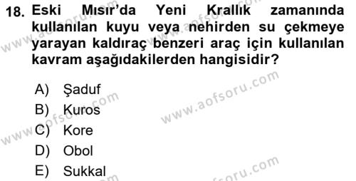 Eski Mezopotamya ve Mısır Tarihi Dersi 2021 - 2022 Yılı Yaz Okulu Sınavı 18. Soru