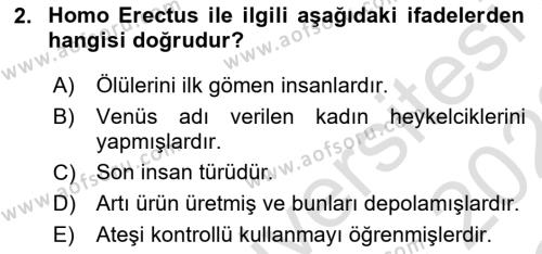 Eski Mezopotamya ve Mısır Tarihi Dersi 2021 - 2022 Yılı Yaz Okulu Sınavı 2. Soru