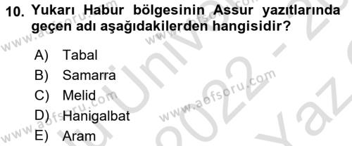 Eski Mezopotamya ve Mısır Tarihi Dersi 2022 - 2023 Yılı Yaz Okulu Sınavı 10. Soru