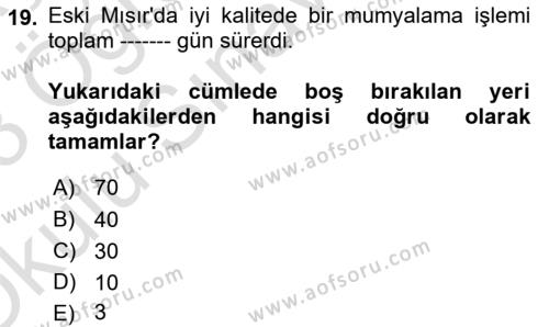 Eski Mezopotamya ve Mısır Tarihi Dersi 2022 - 2023 Yılı Yaz Okulu Sınavı 19. Soru