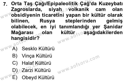 Eski Mezopotamya ve Mısır Tarihi Dersi 2022 - 2023 Yılı Yaz Okulu Sınavı 7. Soru