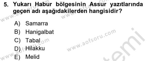 Eski Mezopotamya ve Mısır Tarihi Dersi 2023 - 2024 Yılı (Final) Dönem Sonu Sınavı 5. Soru