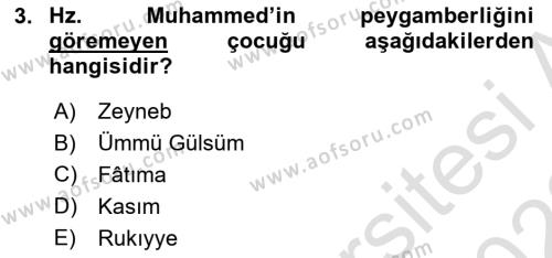 İslam Tarihi ve Medeniyeti 1 Dersi 2021 - 2022 Yılı (Final) Dönem Sonu Sınavı 3. Soru