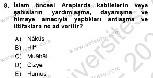 İslam Tarihi ve Medeniyeti 1 Dersi 2022 - 2023 Yılı Yaz Okulu Sınavı 8. Soru