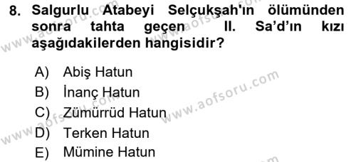Büyük Selçuklu Tarihi Dersi 2021 - 2022 Yılı Yaz Okulu Sınavı 8. Soru