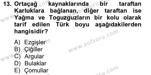 İlk Müslüman Türk Devletleri Dersi 2012 - 2013 Yılı (Vize) Ara Sınavı 13. Soru
