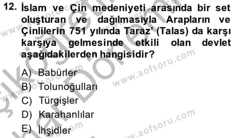 İlk Müslüman Türk Devletleri Dersi 2014 - 2015 Yılı (Vize) Ara Sınavı 12. Soru