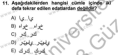 Osmanlı Türkçesi 1 Dersi 2012 - 2013 Yılı (Vize) Ara Sınavı 11. Soru
