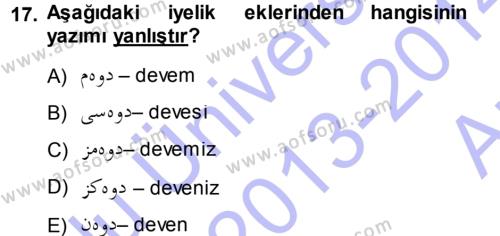 Osmanlı Türkçesi 1 Dersi 2013 - 2014 Yılı (Vize) Ara Sınavı 17. Soru