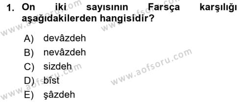 Osmanlı Türkçesi 1 Dersi 2021 - 2022 Yılı Yaz Okulu Sınavı 1. Soru