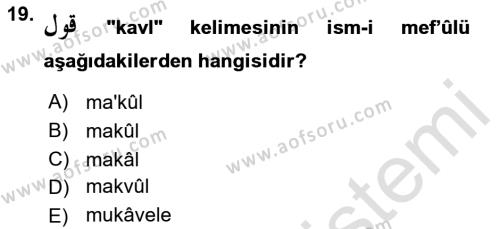 Osmanlı Türkçesi 1 Dersi 2021 - 2022 Yılı Yaz Okulu Sınavı 19. Soru