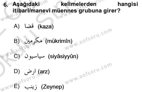 Osmanlı Türkçesi 1 Dersi 2021 - 2022 Yılı Yaz Okulu Sınavı 6. Soru