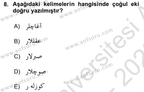 Osmanlı Türkçesi 1 Dersi 2022 - 2023 Yılı (Vize) Ara Sınavı 8. Soru