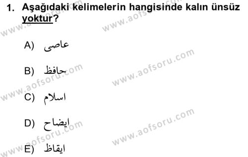 Osmanlı Türkçesi 1 Dersi 2022 - 2023 Yılı Yaz Okulu Sınavı 1. Soru