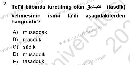 Osmanlı Türkçesi 1 Dersi 2022 - 2023 Yılı Yaz Okulu Sınavı 2. Soru