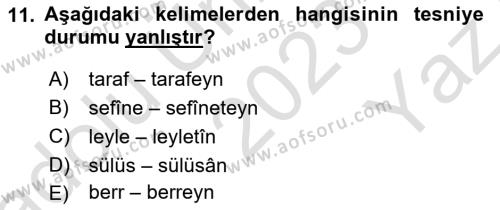 Osmanlı Türkçesi 1 Dersi 2023 - 2024 Yılı Yaz Okulu Sınavı 11. Soru