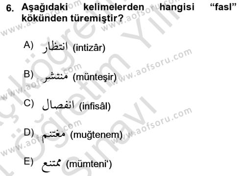 Osmanlı Türkçesi 1 Dersi 2023 - 2024 Yılı Yaz Okulu Sınavı 6. Soru