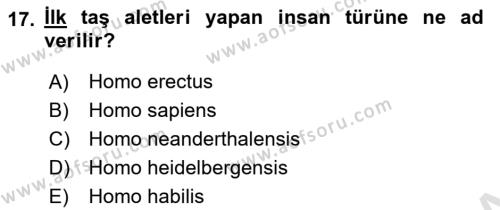 Genel Uygarlık Tarihi Dersi 2021 - 2022 Yılı (Vize) Ara Sınavı 17. Soru