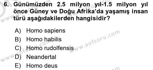 Genel Uygarlık Tarihi Dersi 2022 - 2023 Yılı Yaz Okulu Sınavı 6. Soru