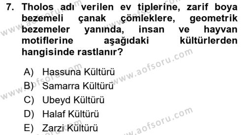 Genel Uygarlık Tarihi Dersi 2022 - 2023 Yılı Yaz Okulu Sınavı 7. Soru