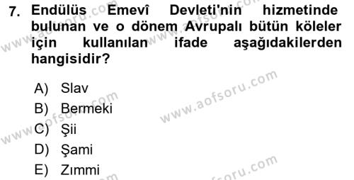 Genel Uygarlık Tarihi Dersi 2023 - 2024 Yılı (Final) Dönem Sonu Sınavı 7. Soru