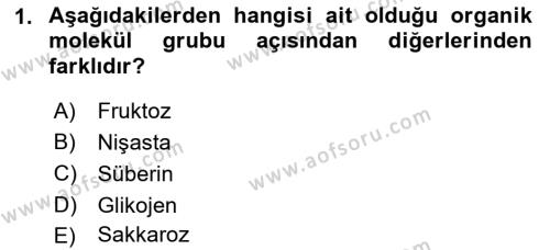 Genel Biyoloji Dersi 2021 - 2022 Yılı (Vize) Ara Sınavı 1. Soru