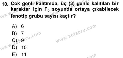 Genel Biyoloji Dersi 2021 - 2022 Yılı (Vize) Ara Sınavı 10. Soru