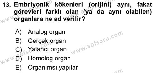 Genel Biyoloji Dersi 2021 - 2022 Yılı (Vize) Ara Sınavı 13. Soru