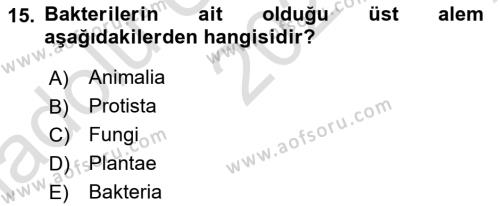 Genel Biyoloji Dersi 2021 - 2022 Yılı (Vize) Ara Sınavı 15. Soru
