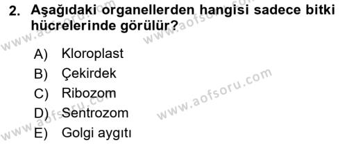 Genel Biyoloji Dersi 2021 - 2022 Yılı (Vize) Ara Sınavı 2. Soru