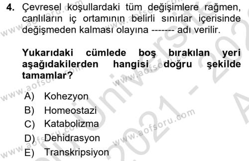 Genel Biyoloji Dersi 2021 - 2022 Yılı (Vize) Ara Sınavı 4. Soru