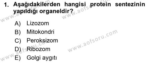 Genel Biyoloji Dersi 2021 - 2022 Yılı (Final) Dönem Sonu Sınavı 1. Soru