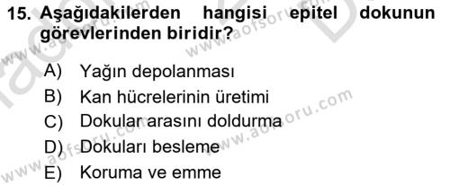 Genel Biyoloji Dersi 2021 - 2022 Yılı (Final) Dönem Sonu Sınavı 15. Soru