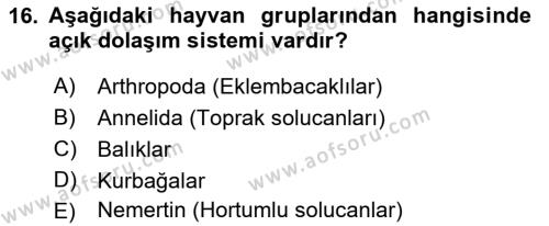 Genel Biyoloji Dersi 2021 - 2022 Yılı (Final) Dönem Sonu Sınavı 16. Soru
