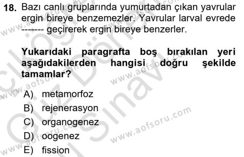 Genel Biyoloji Dersi 2021 - 2022 Yılı (Final) Dönem Sonu Sınavı 18. Soru