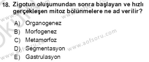 Genel Biyoloji Dersi 2021 - 2022 Yılı Yaz Okulu Sınavı 18. Soru