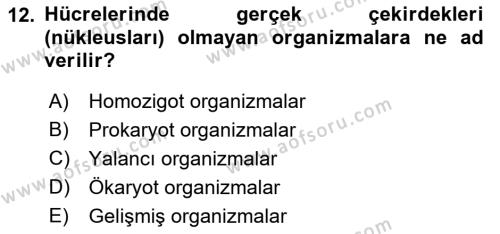 Genel Biyoloji Dersi 2022 - 2023 Yılı (Vize) Ara Sınavı 12. Soru