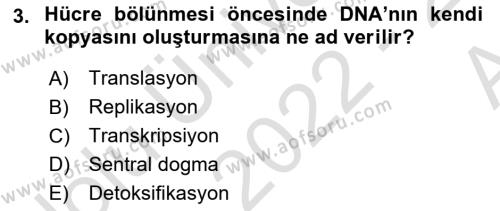 Genel Biyoloji Dersi 2022 - 2023 Yılı (Vize) Ara Sınavı 3. Soru