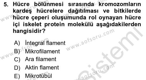 Genel Biyoloji Dersi 2022 - 2023 Yılı (Vize) Ara Sınavı 5. Soru