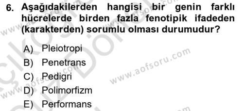 Genel Biyoloji Dersi 2022 - 2023 Yılı (Vize) Ara Sınavı 6. Soru