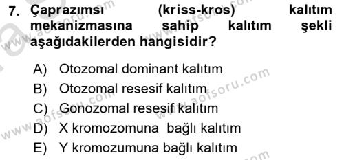 Genel Biyoloji Dersi 2022 - 2023 Yılı (Vize) Ara Sınavı 7. Soru