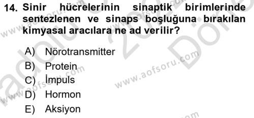 Genel Biyoloji Dersi 2022 - 2023 Yılı (Final) Dönem Sonu Sınavı 14. Soru